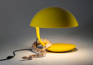 COBRA 100 - LED swivel resin table lamp by Martinelli Luce - view 3